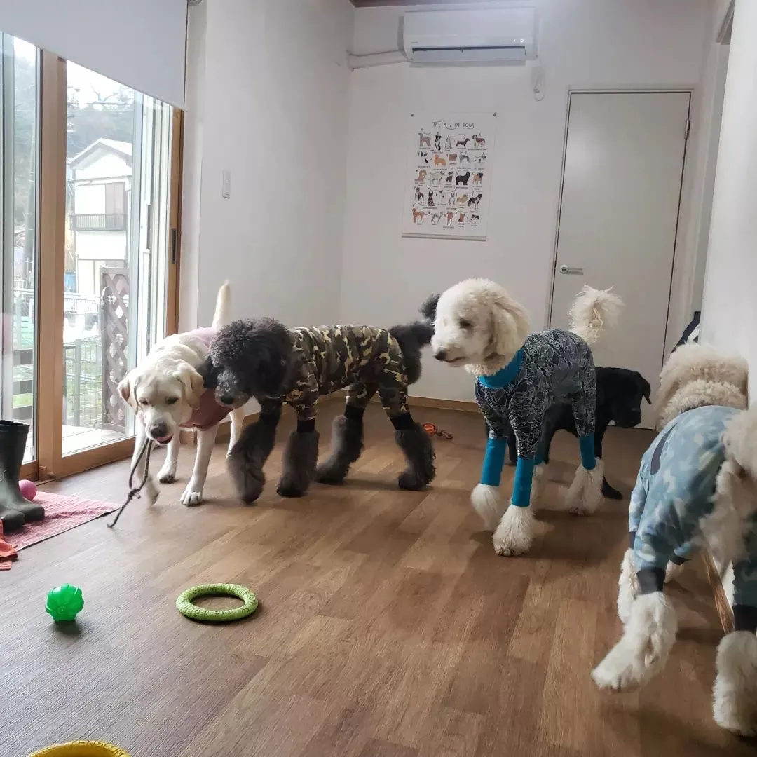 今日は一日雨だからお外で遊べないけどお部屋遊びも楽しいね😊