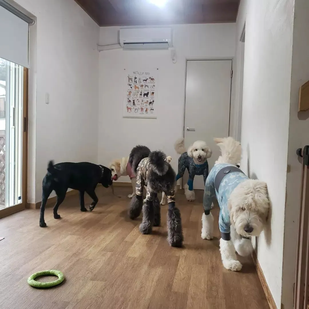 今日は一日雨だからお外で遊べないけどお部屋遊びも楽しいね😊