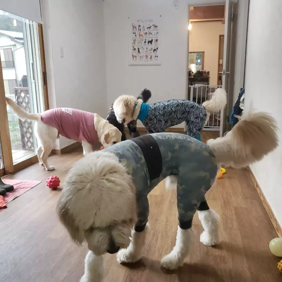 今日は一日雨だからお外で遊べないけどお部屋遊びも楽しいね😊