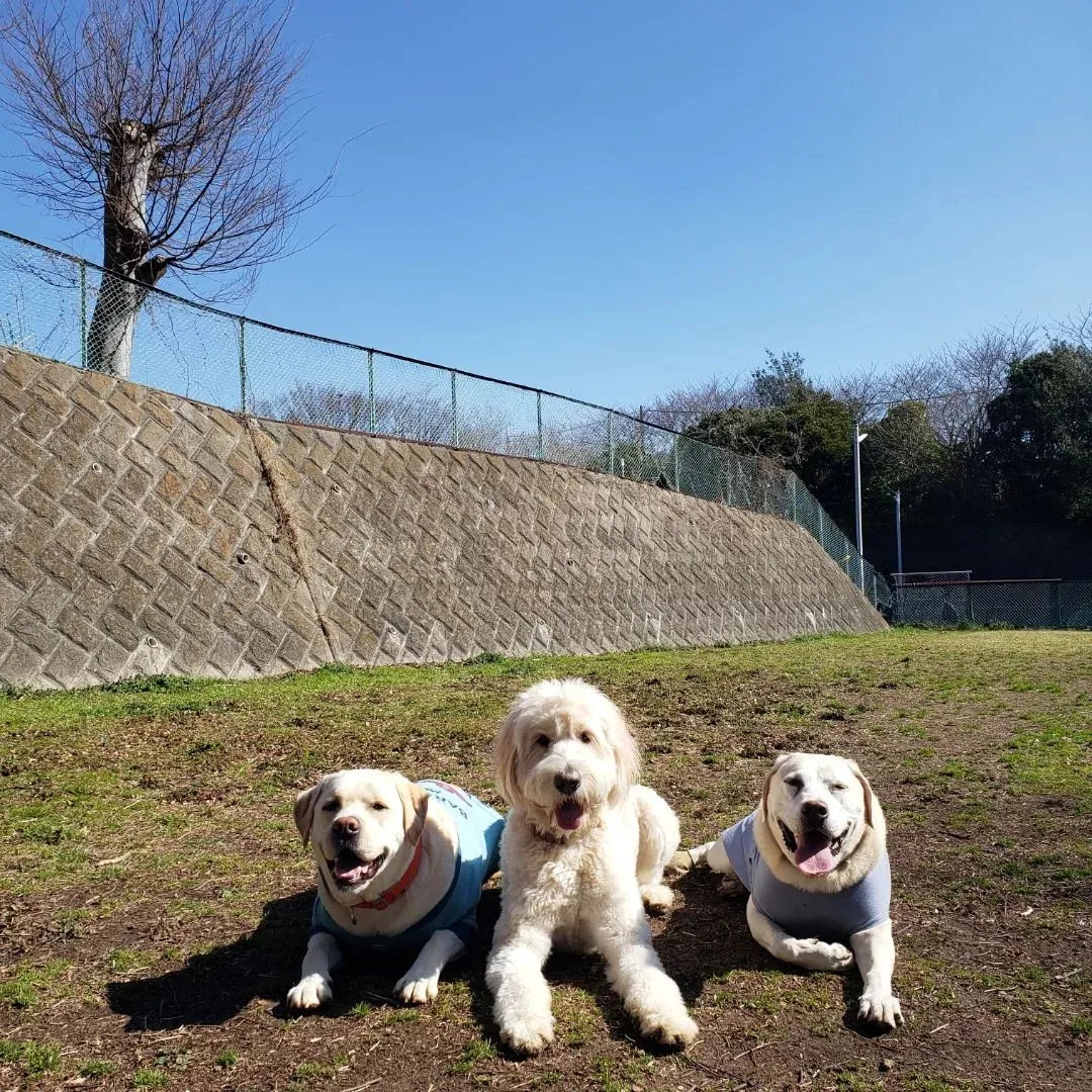 朝は公園でたっぷり運動♪