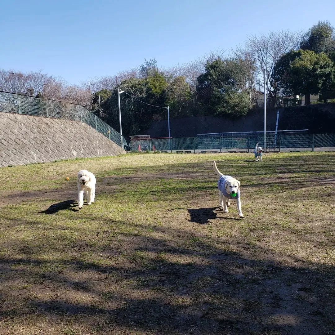 朝は公園でたっぷり運動♪