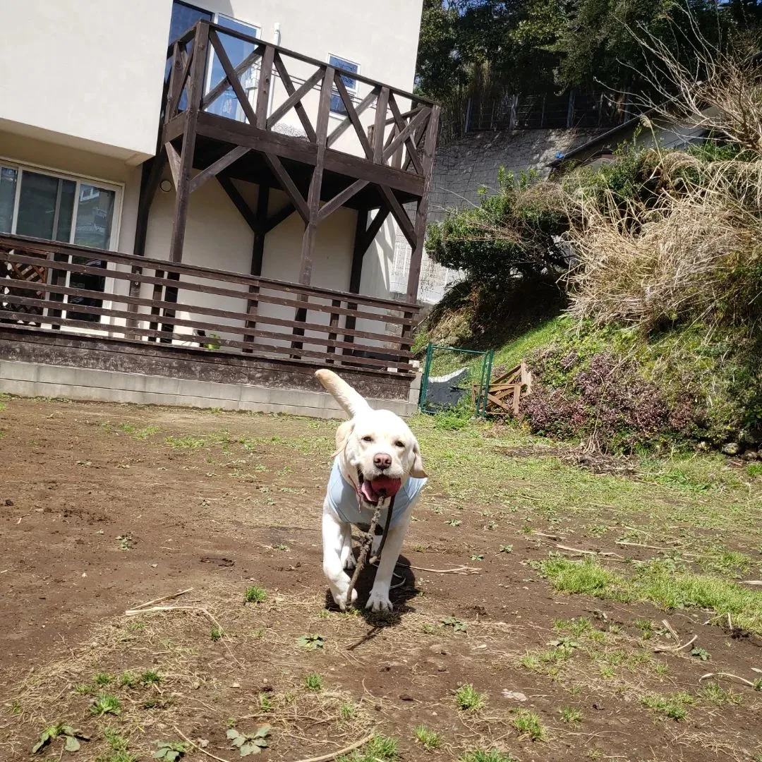 今日は暑い1日になりました。