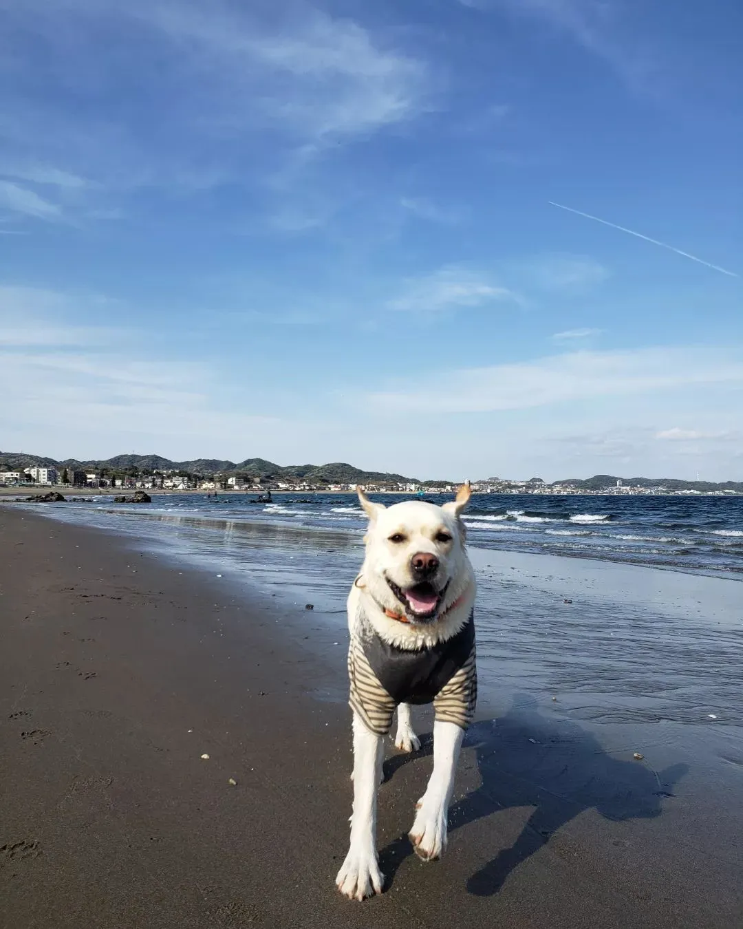 今日はお天気も良いので海岸へ♪