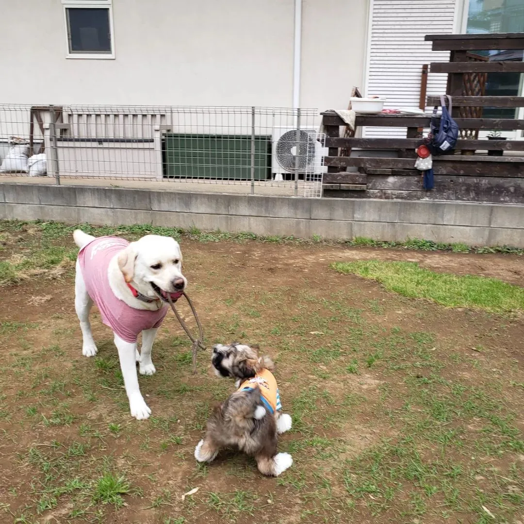 夕方雨が降る前にランで運動♪