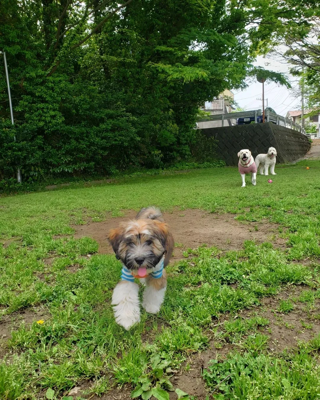 今日も暑かったなぁ😆