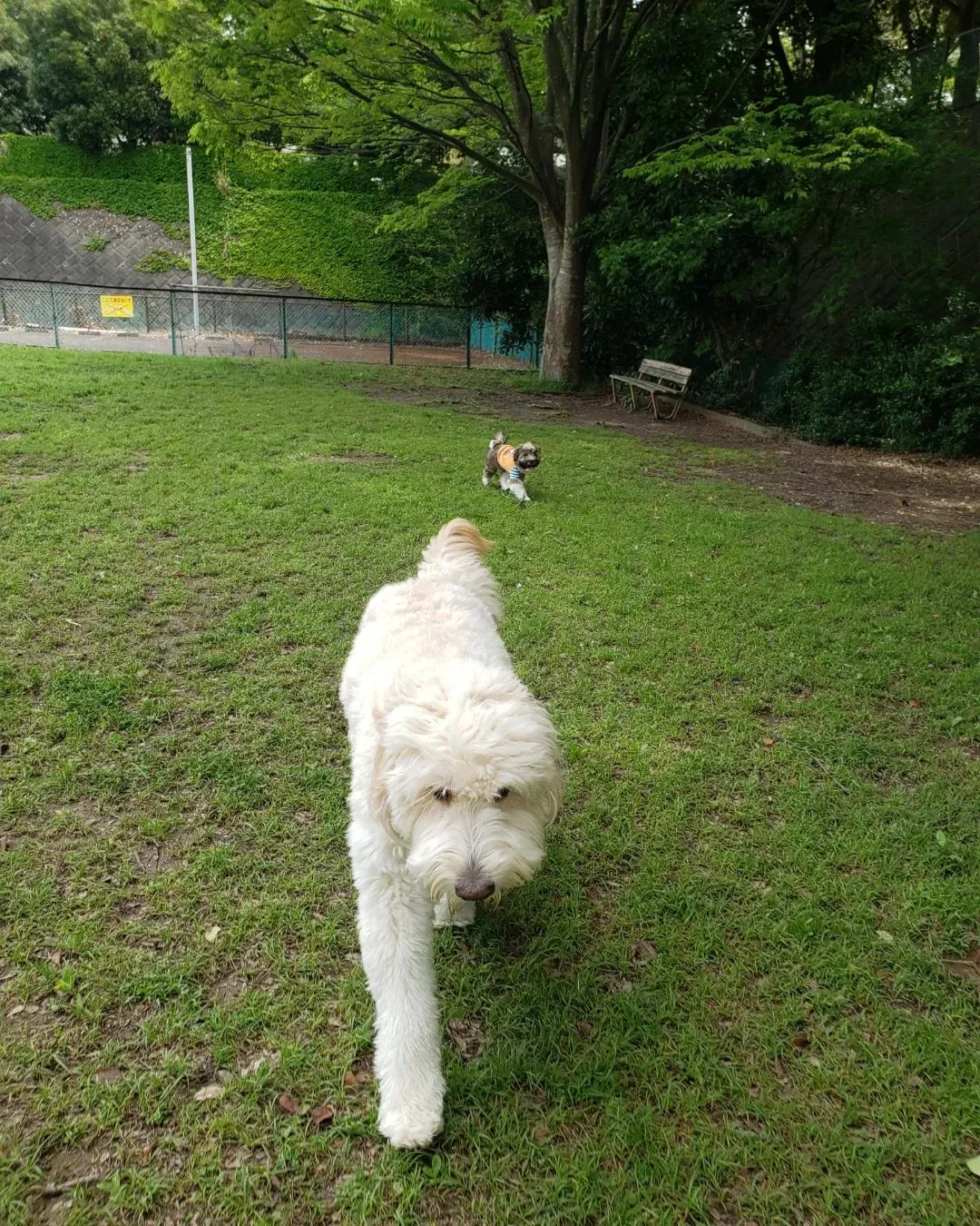 今日も暑かったなぁ😆