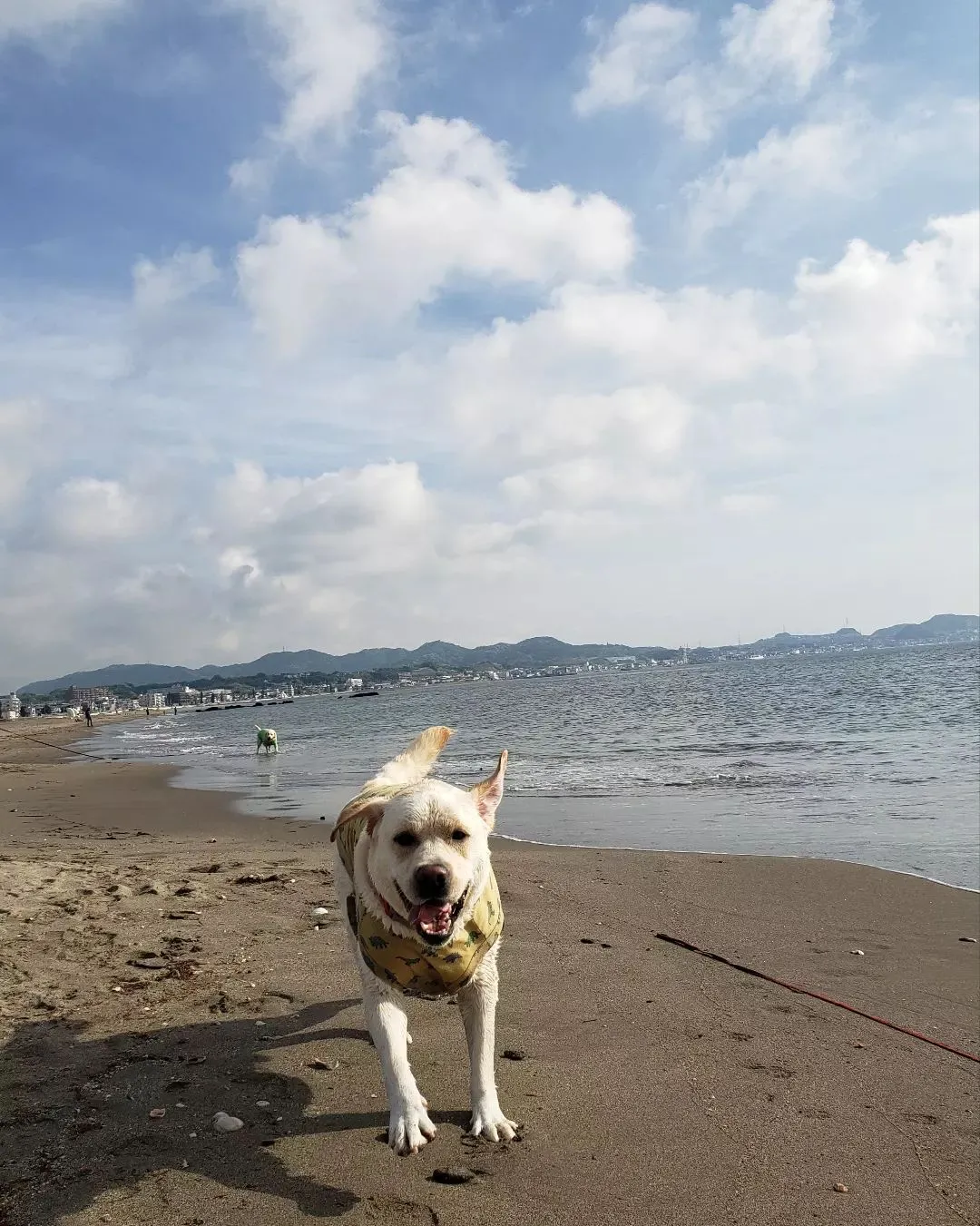 今日は朝から海家と海岸へ♪