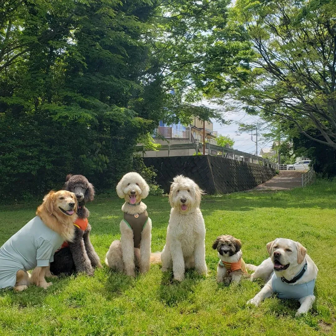 午後からは公園でおもちゃ遊び♪