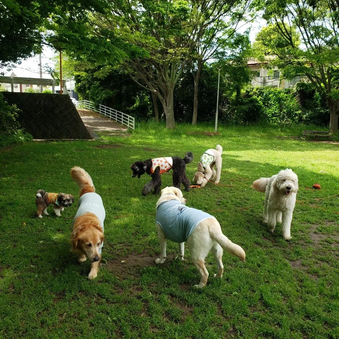 午後からは公園でおもちゃ遊び♪