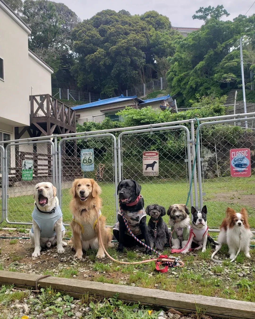 今日は晴れてお散歩へいってきました♪