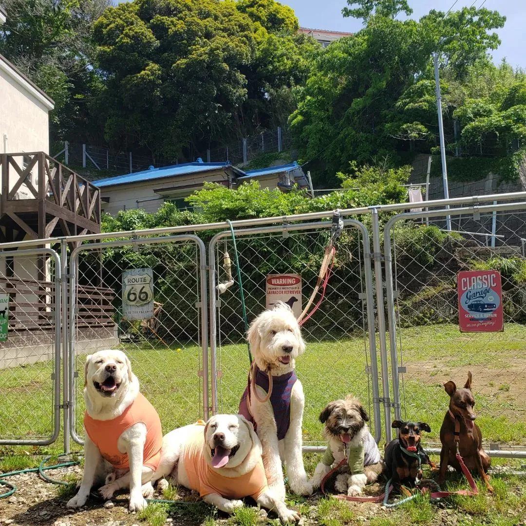 今日も朝から良いお天気です。