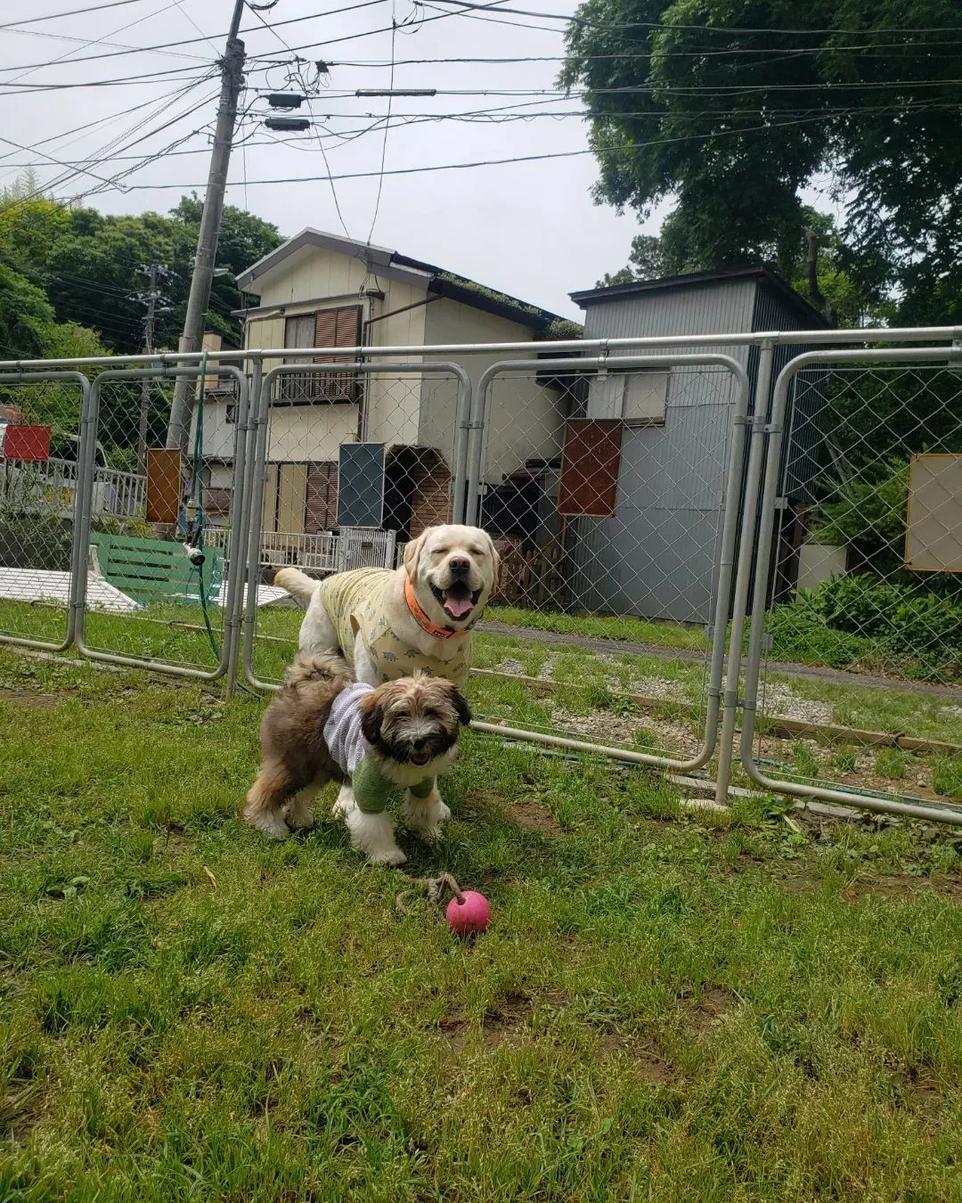 今日は暑い1日になりました。