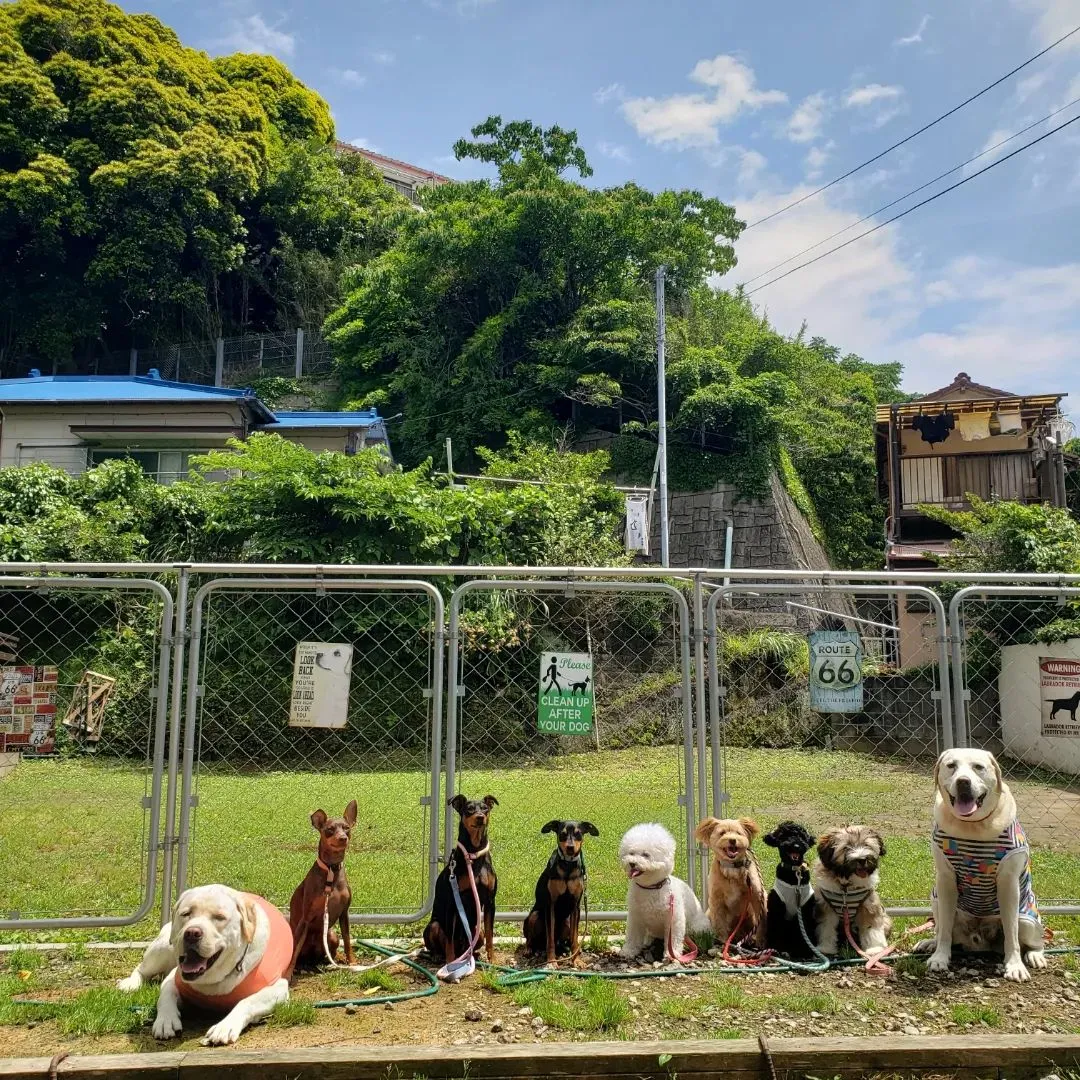 今日は良いお天気になってなにより😊