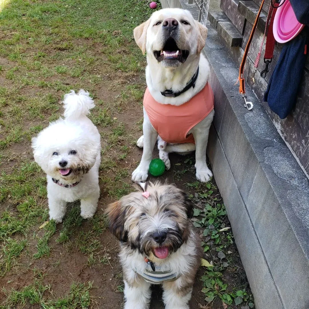 今日は良いお天気になってなにより😊