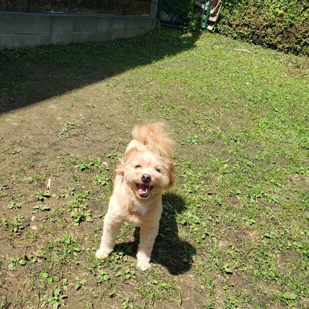 今日は良いお天気になってなにより😊