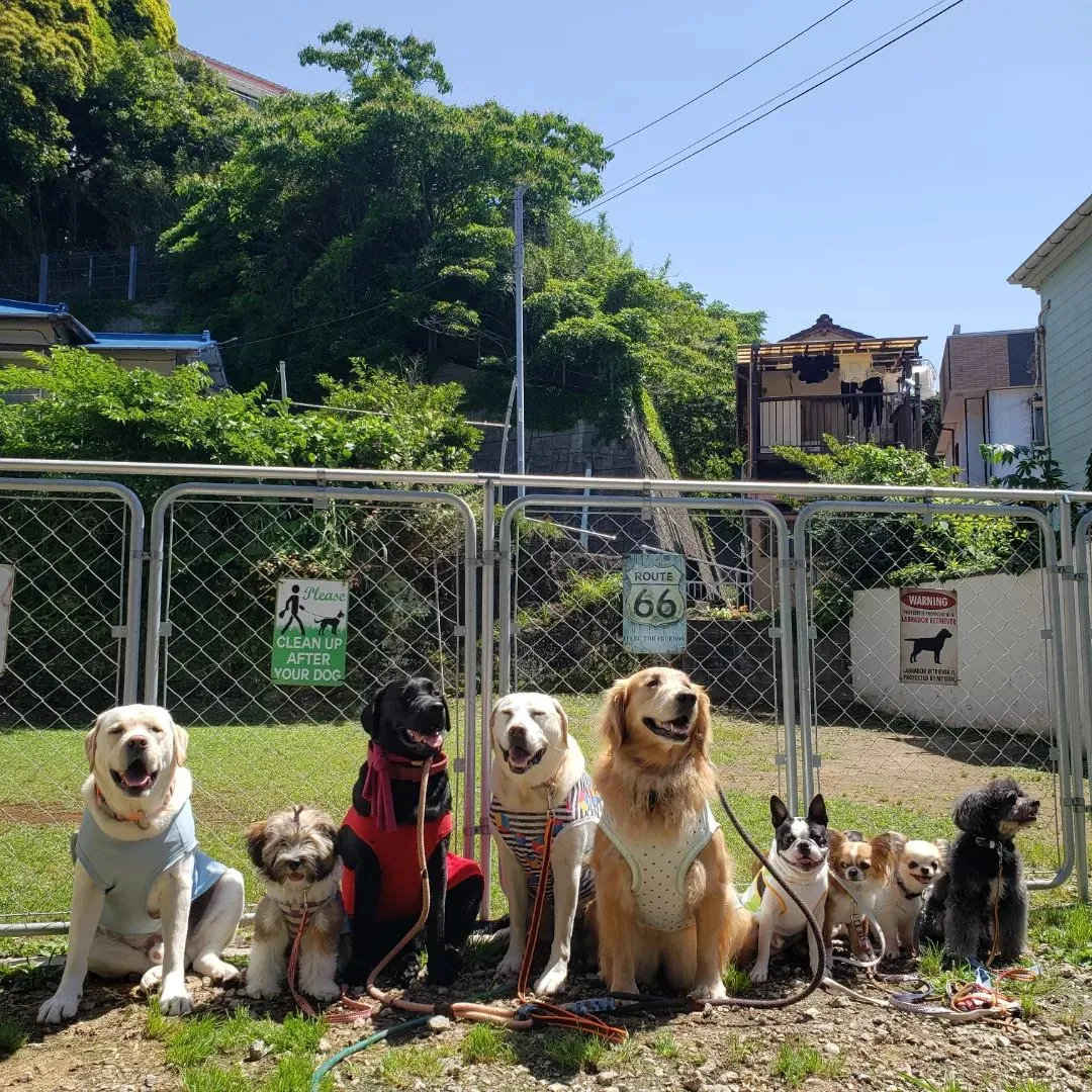 今日も暑い1日になりました♪