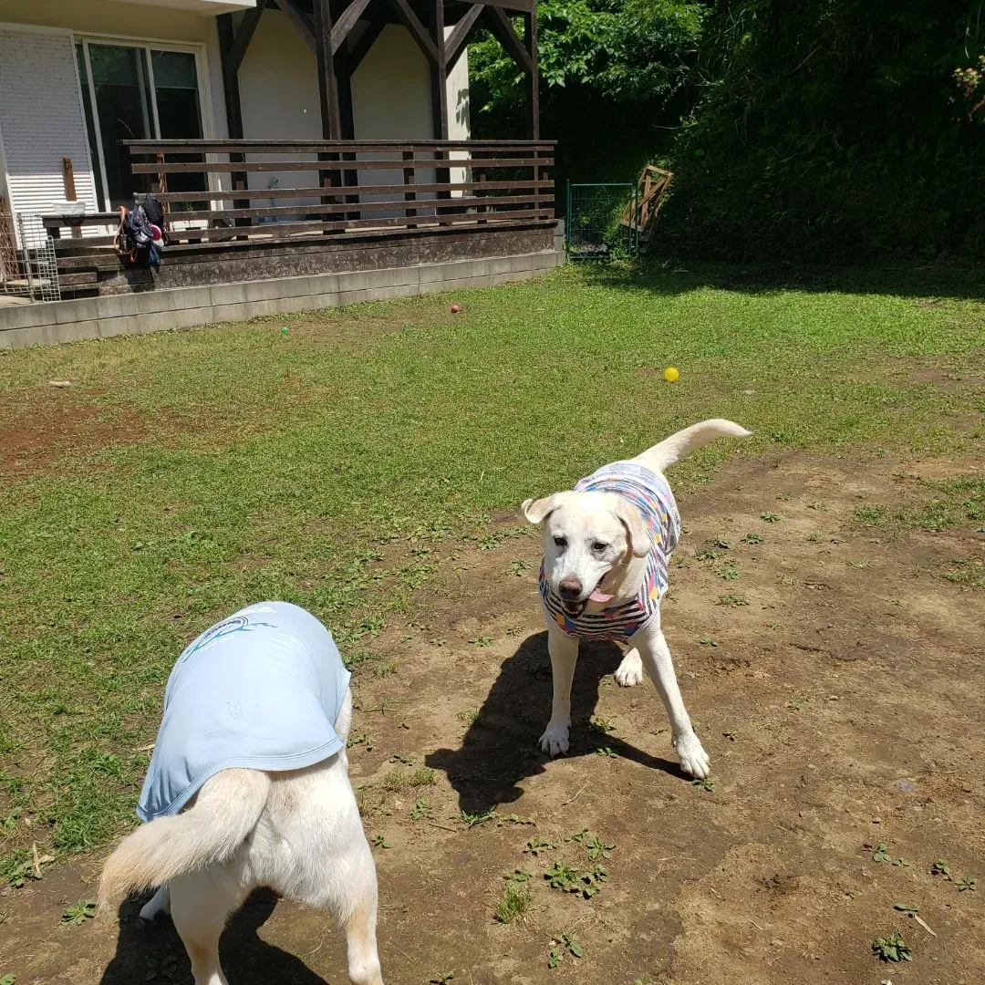 今日も暑い1日になりました♪