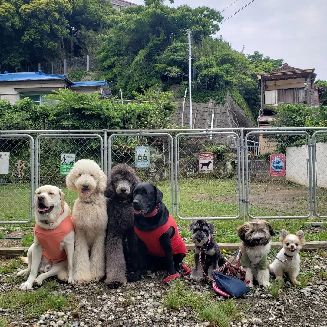 午前中は雨だったのでお部屋遊び♪