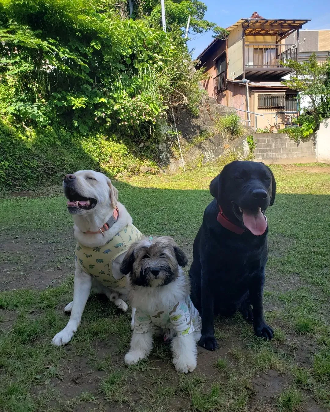 今日も暑かったけどたくさん遊びました😊