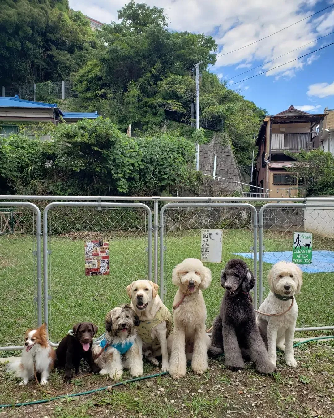 昨日もわんぱく仲間集まりました♪