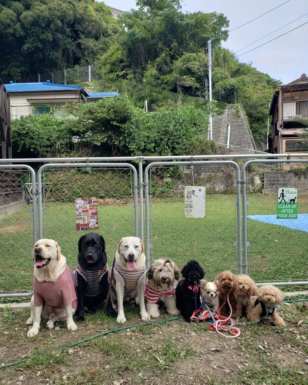 なんとなく秋らしくなってきました。