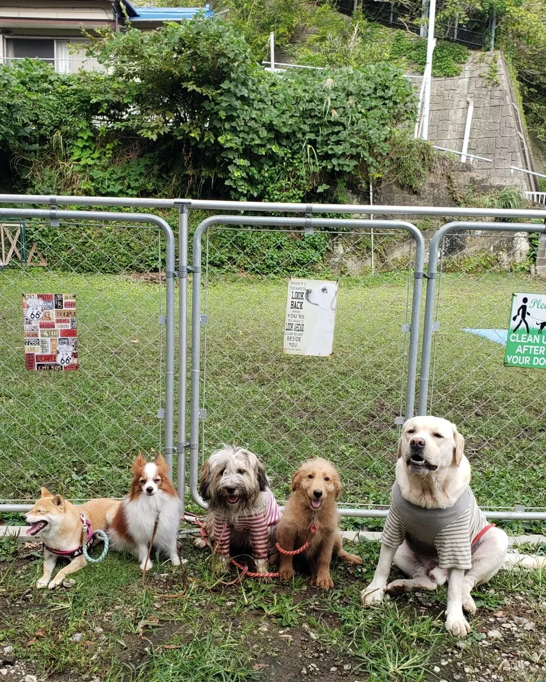 お天気になったのでランで遊びました😊