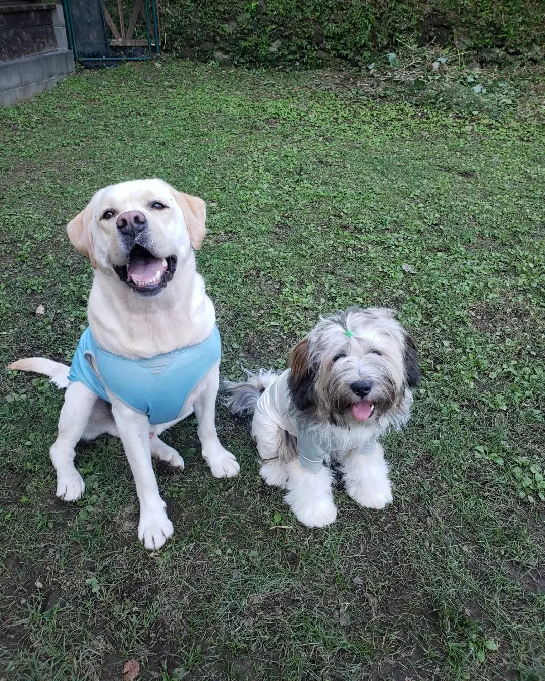 ランで遊ぶ2ぴき♥️