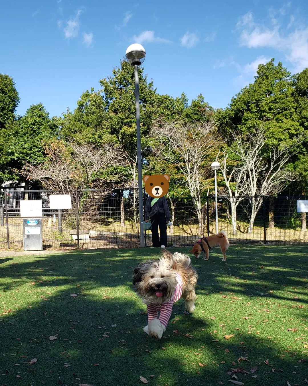 土曜日から大阪へ♪