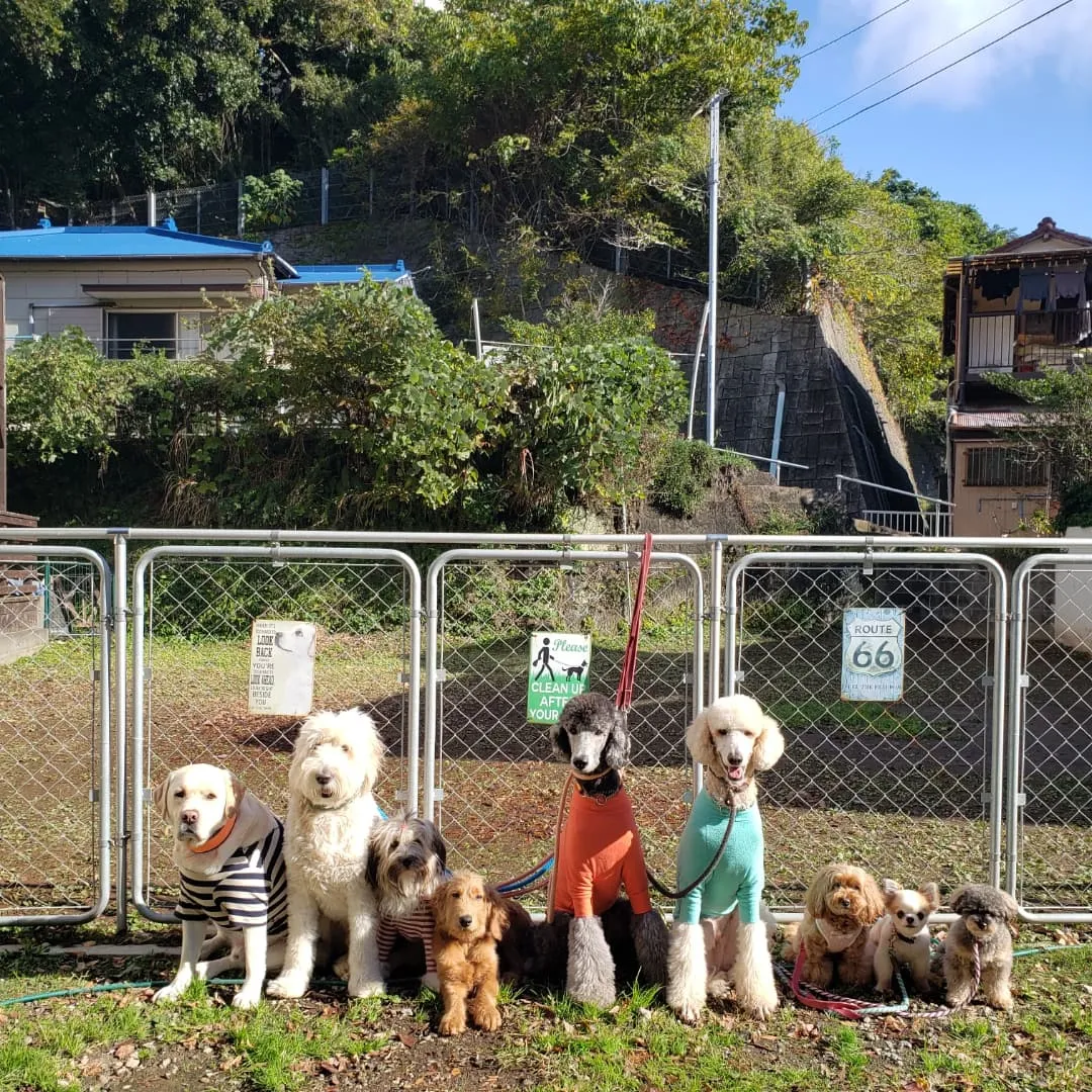 みんなでお散歩行ってお部屋遊び♪