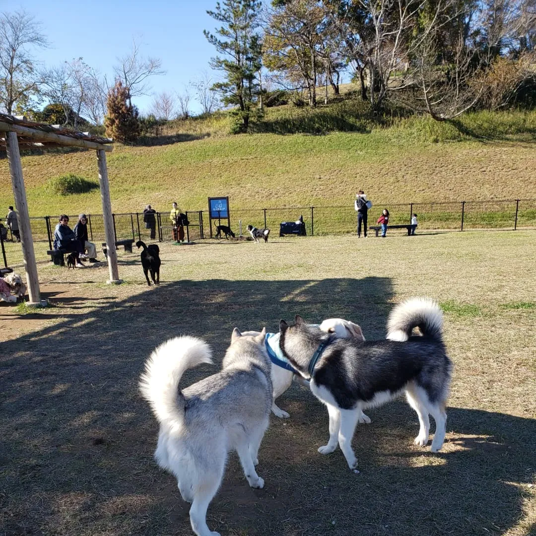 良いお天気でなにより😊