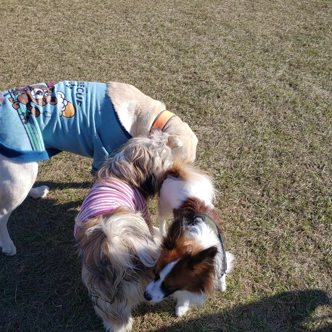 良いお天気でなにより😊