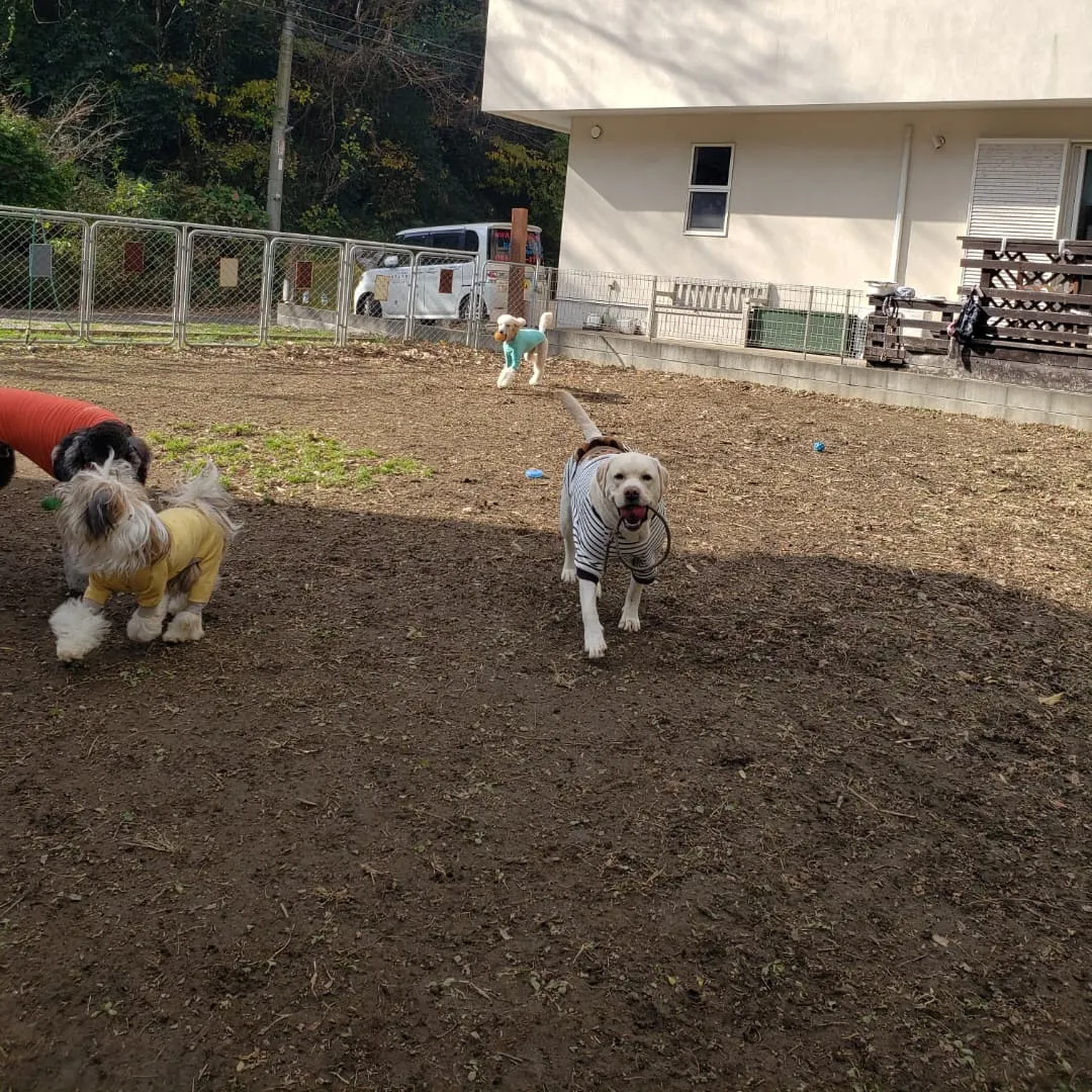 今年最後の幼稚園🎵