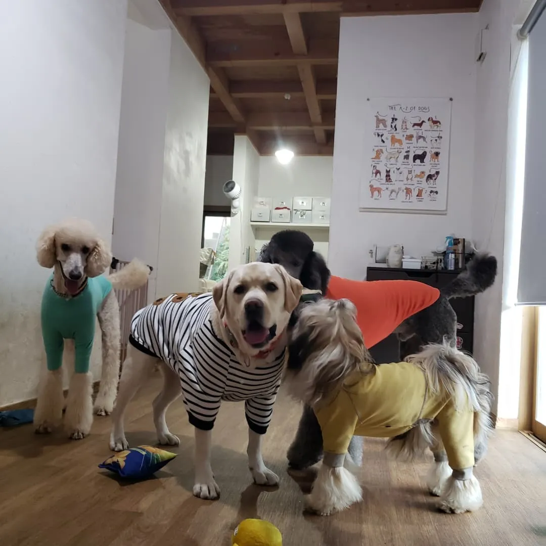 今年最後の幼稚園🎵