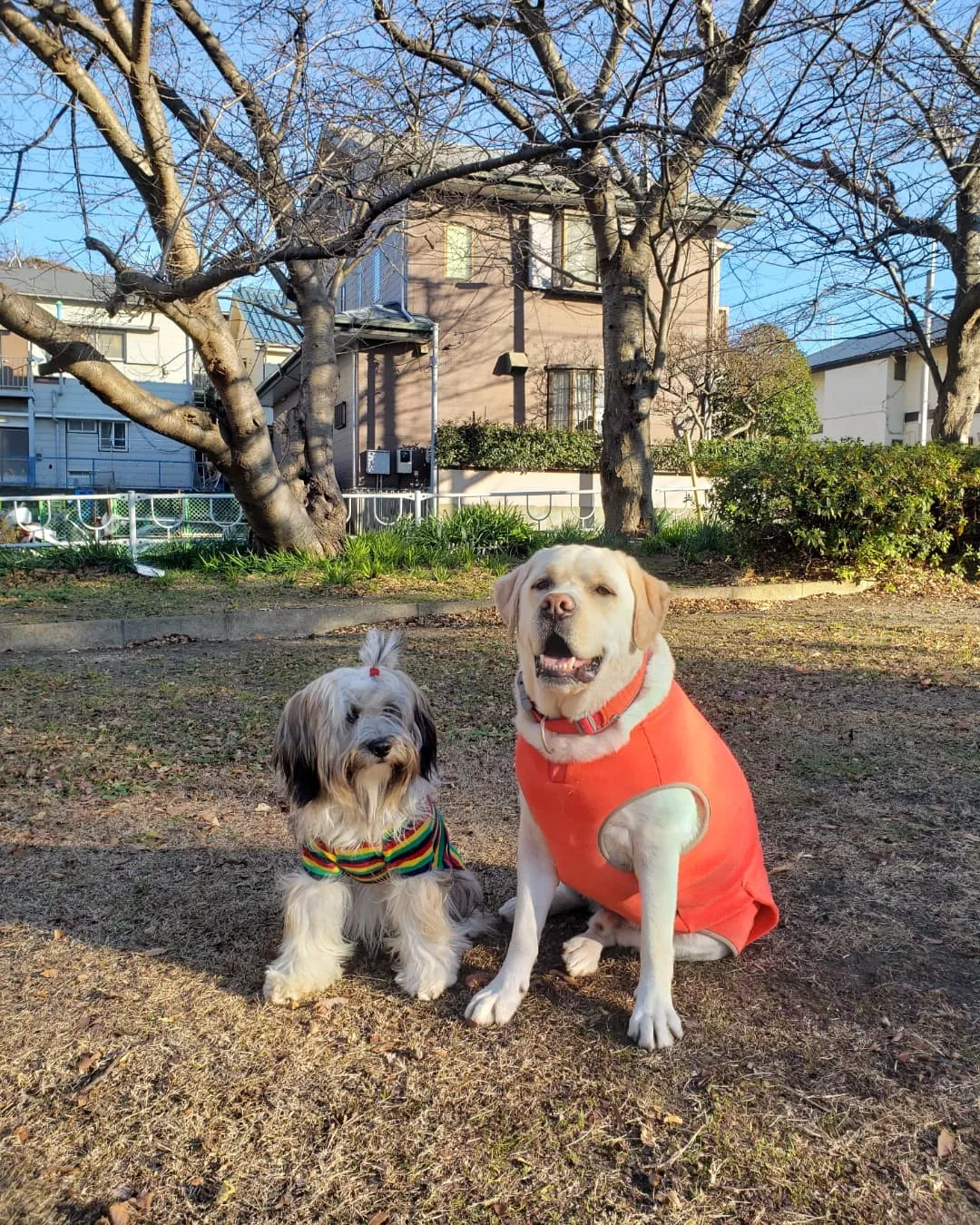 今日も1日お天気でなにより😊