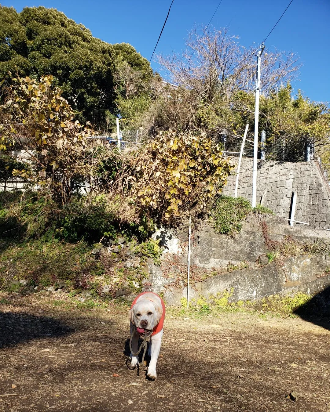 今日も1日お天気でなにより😊