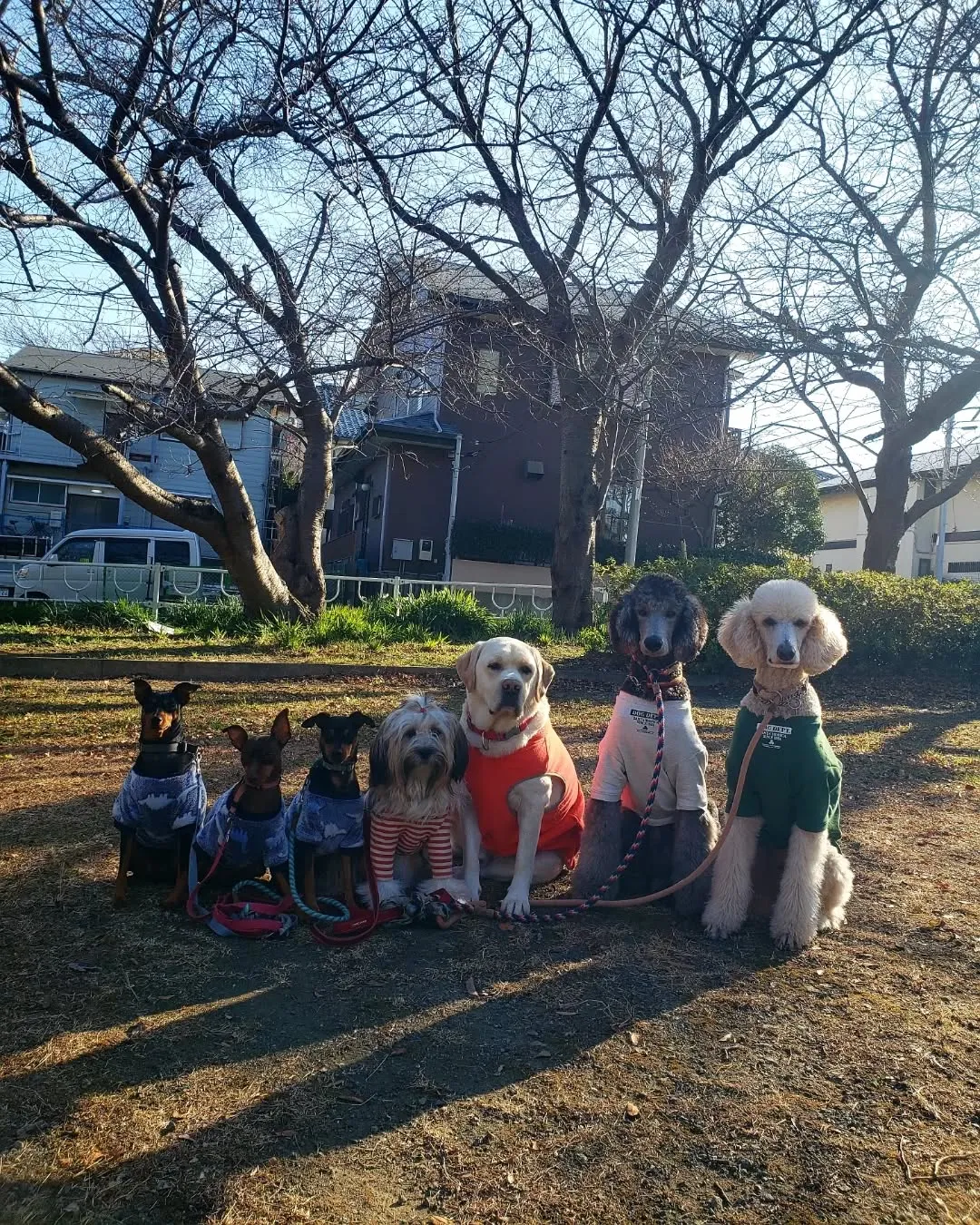 新年　今年もよろしくお願いします。