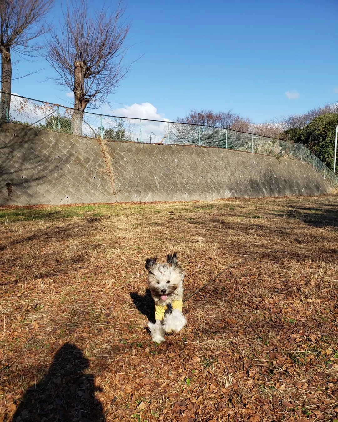 今日はいいお天気になりました🎵