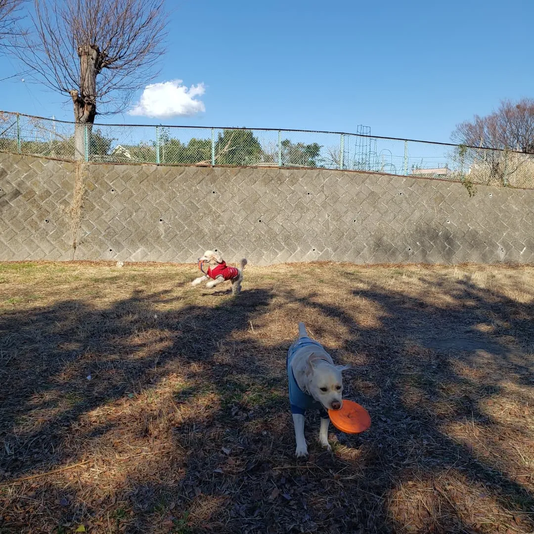 今日は新年会&撮影会&お誕生日会でした。