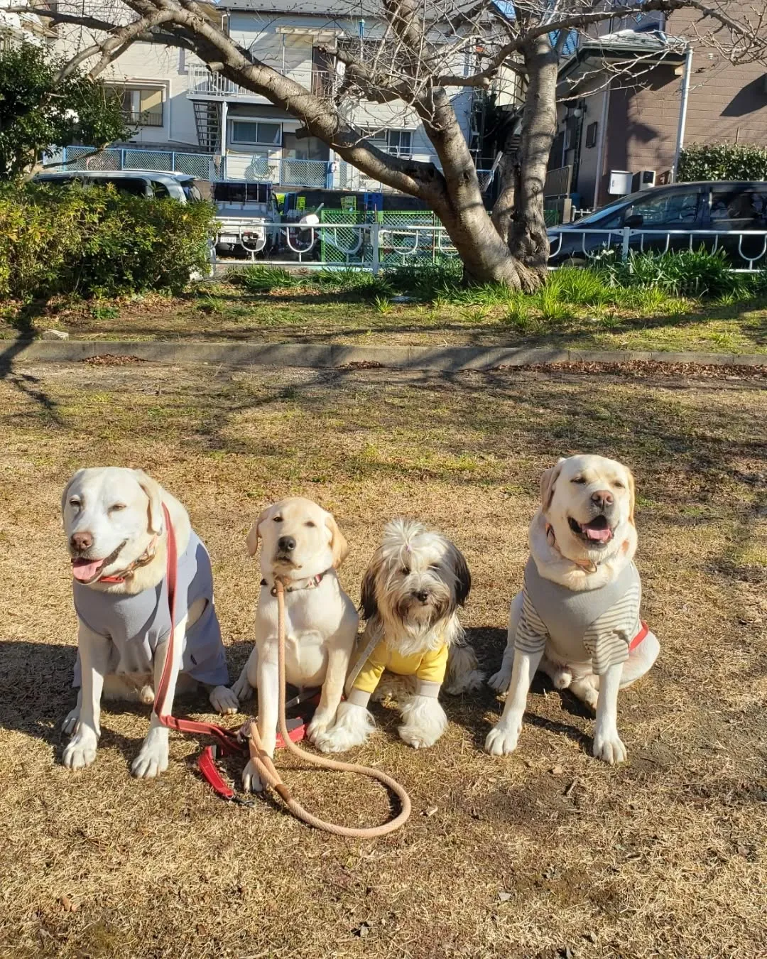 公園でボール遊び🎵