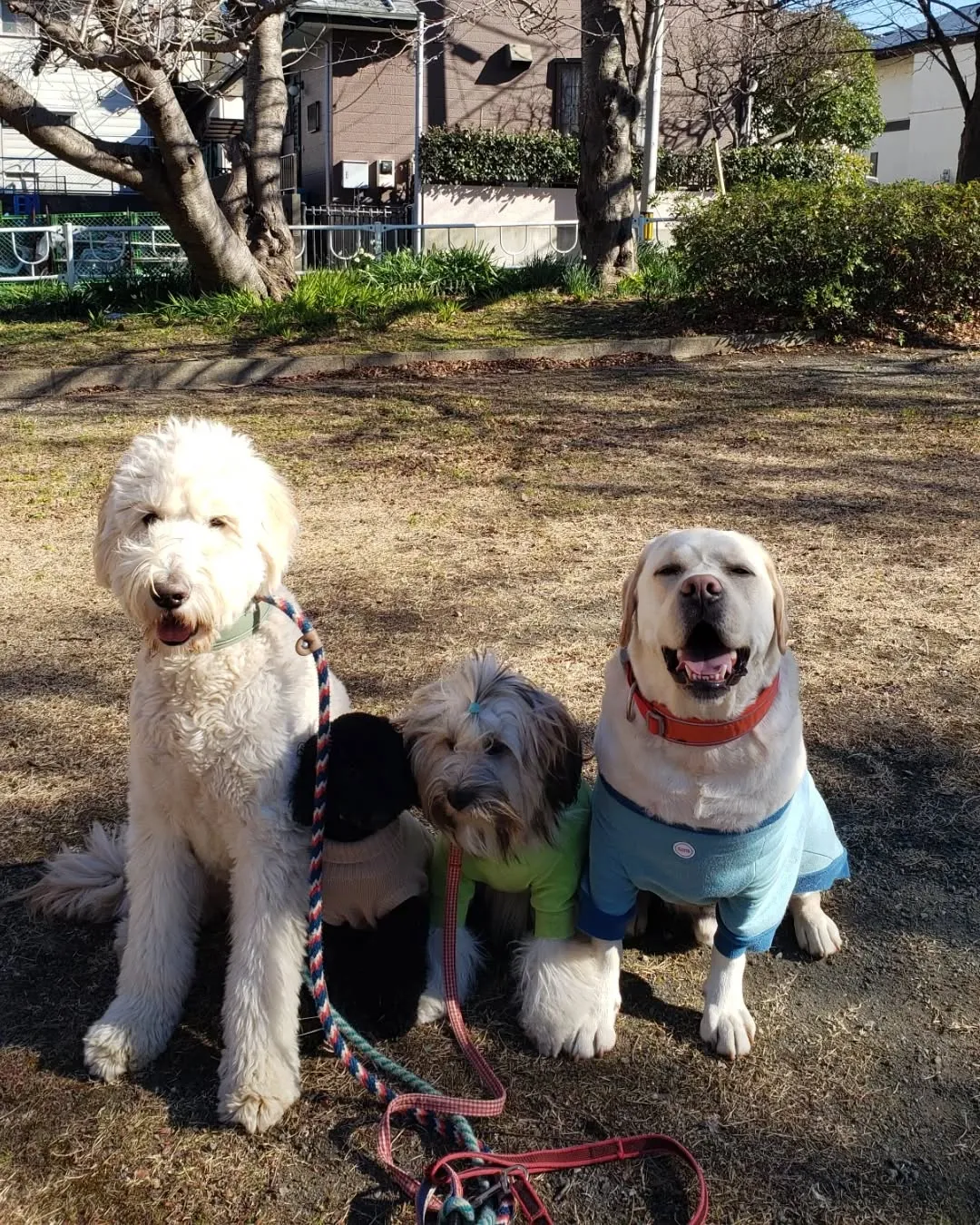 公園でいっぱい遊んで楽しかったね😊