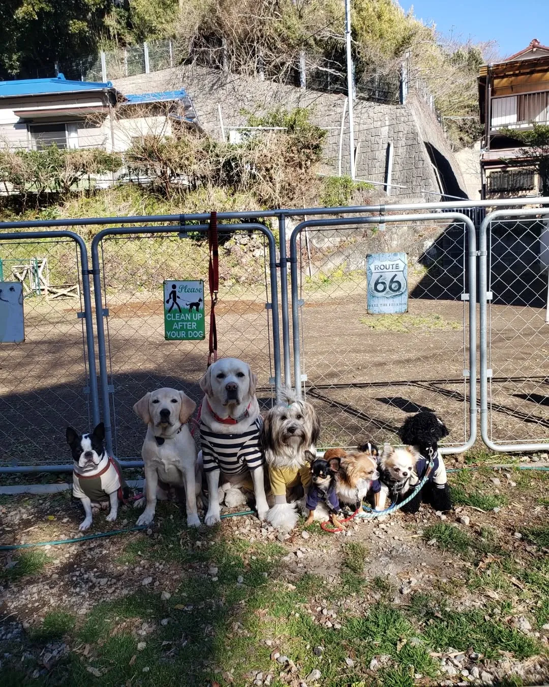 ちびっこが多い日になりました😊