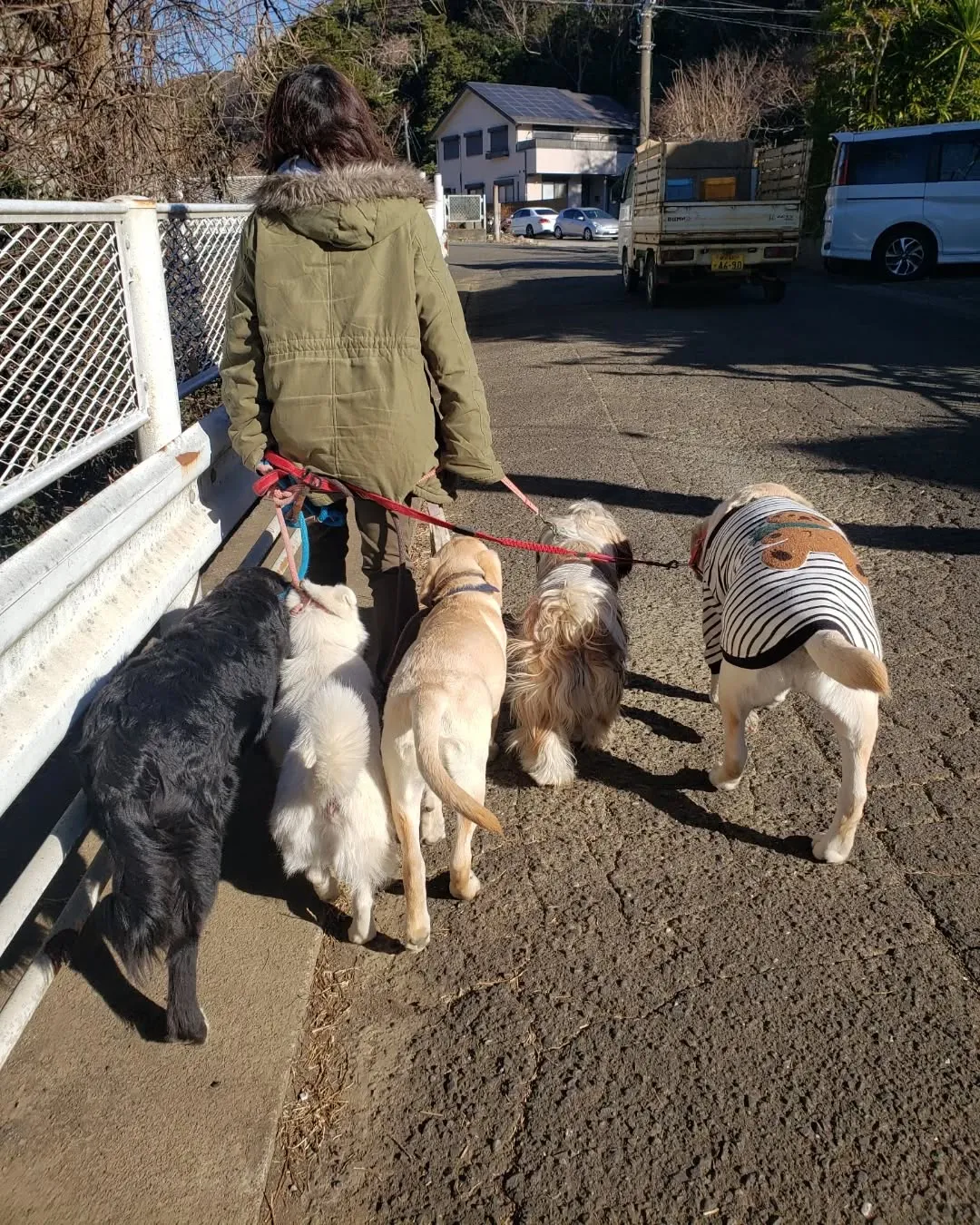 公園で遊ぶ3ぴき♥️