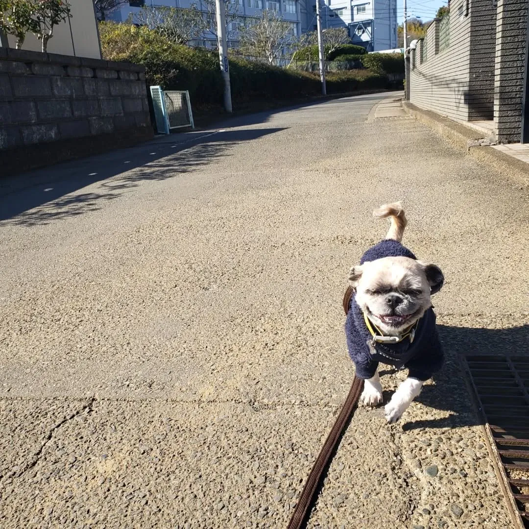 お天気もよくてお散歩日和💓