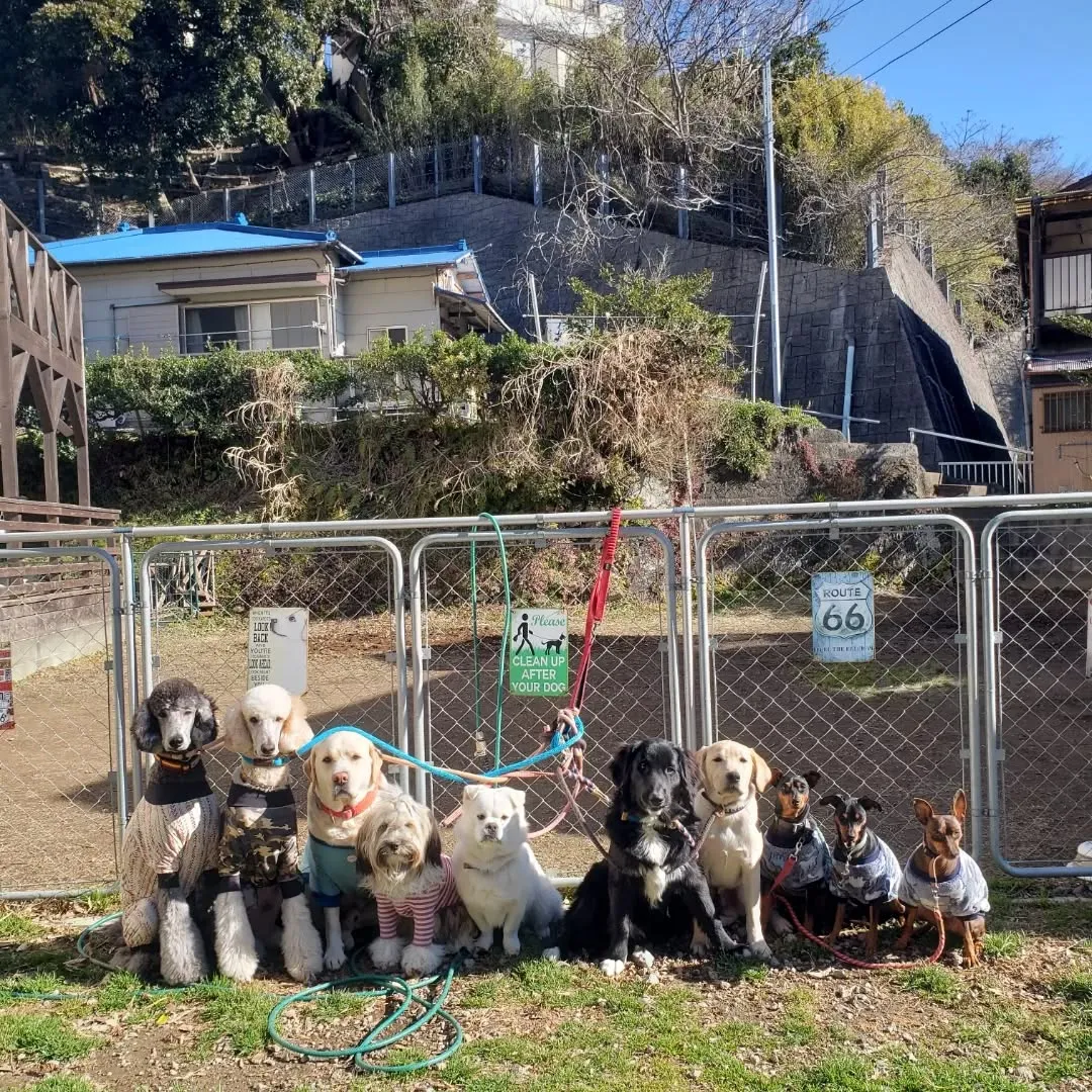 みんなでお散歩へ行ってきました😊