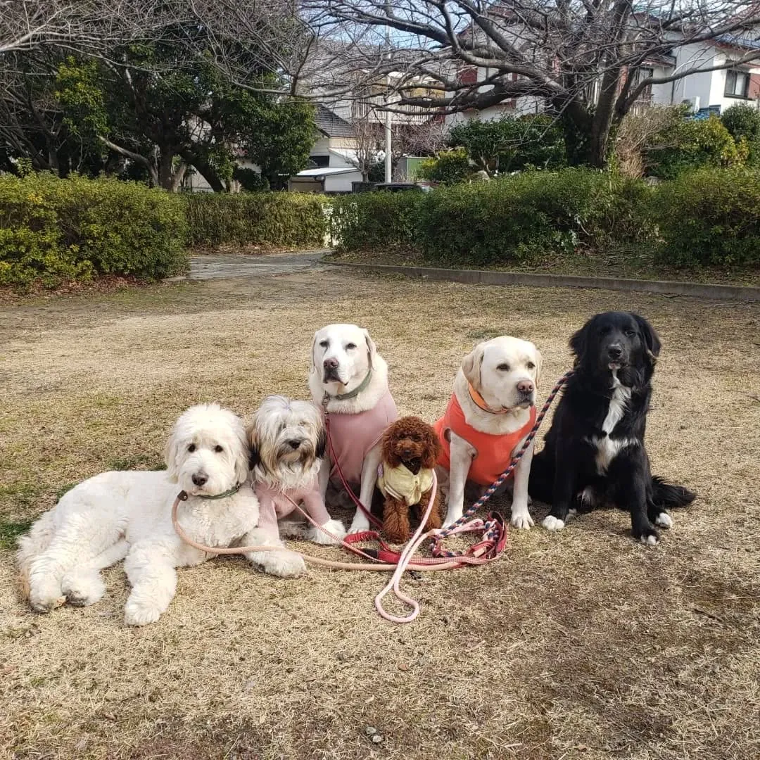 みんなでお散歩へ行ってきました😊