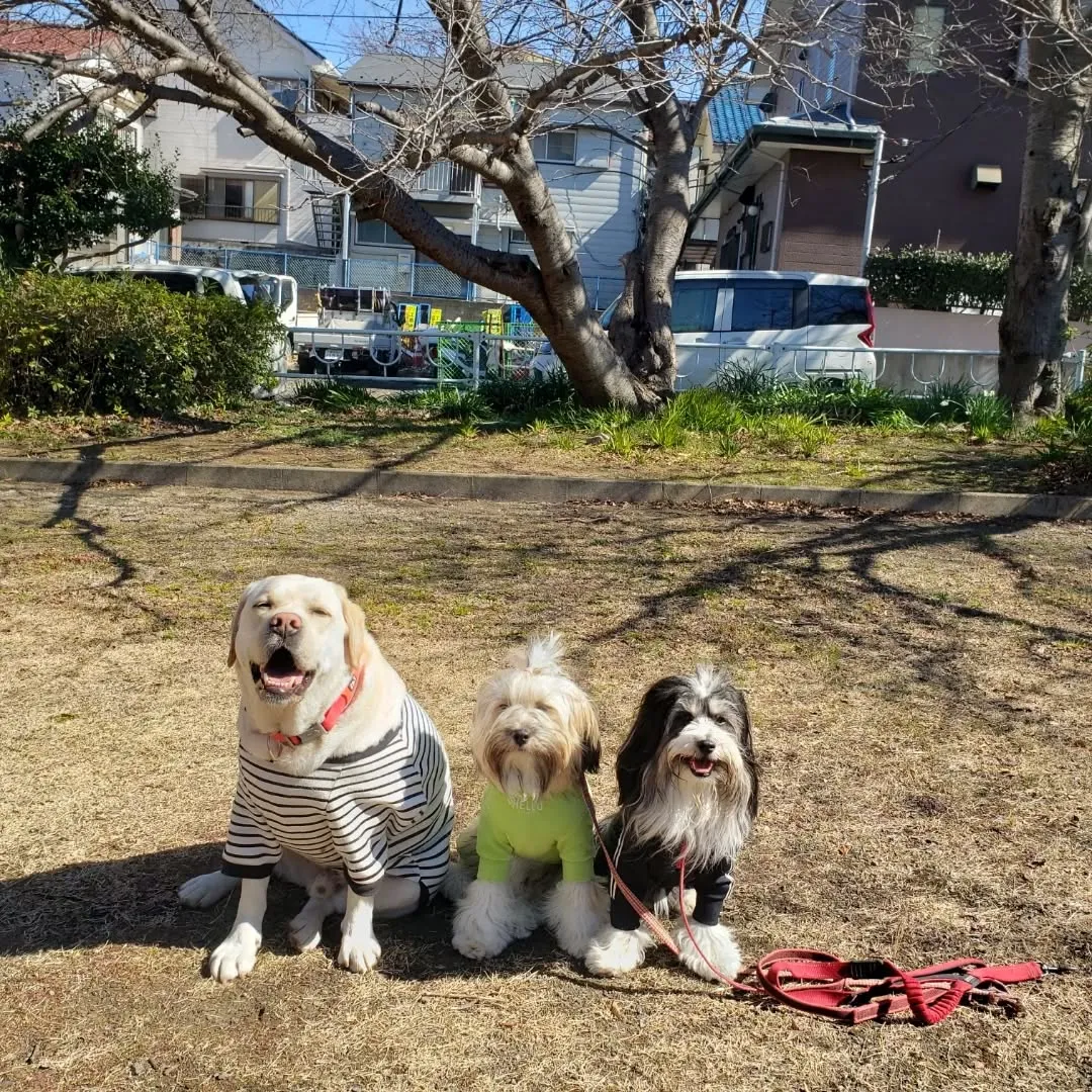 元気に遊んだ3ぴき♥️