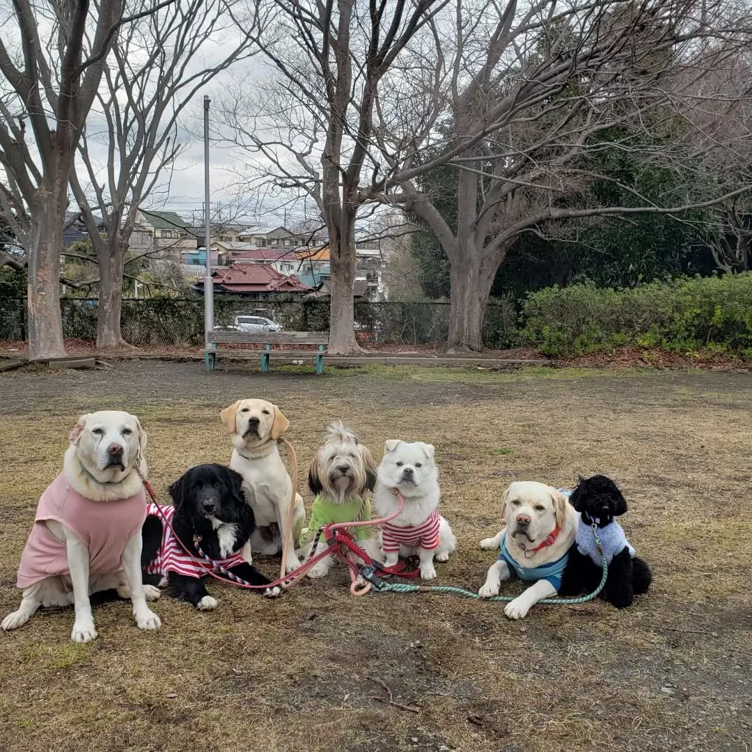 寒い日になりましたが元気に遊ぶわんこさん💓