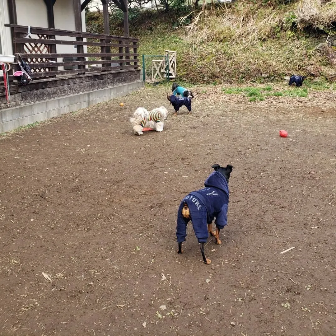 昨日は雪☃️になるかと思いましたがなんとか降りませんでした。