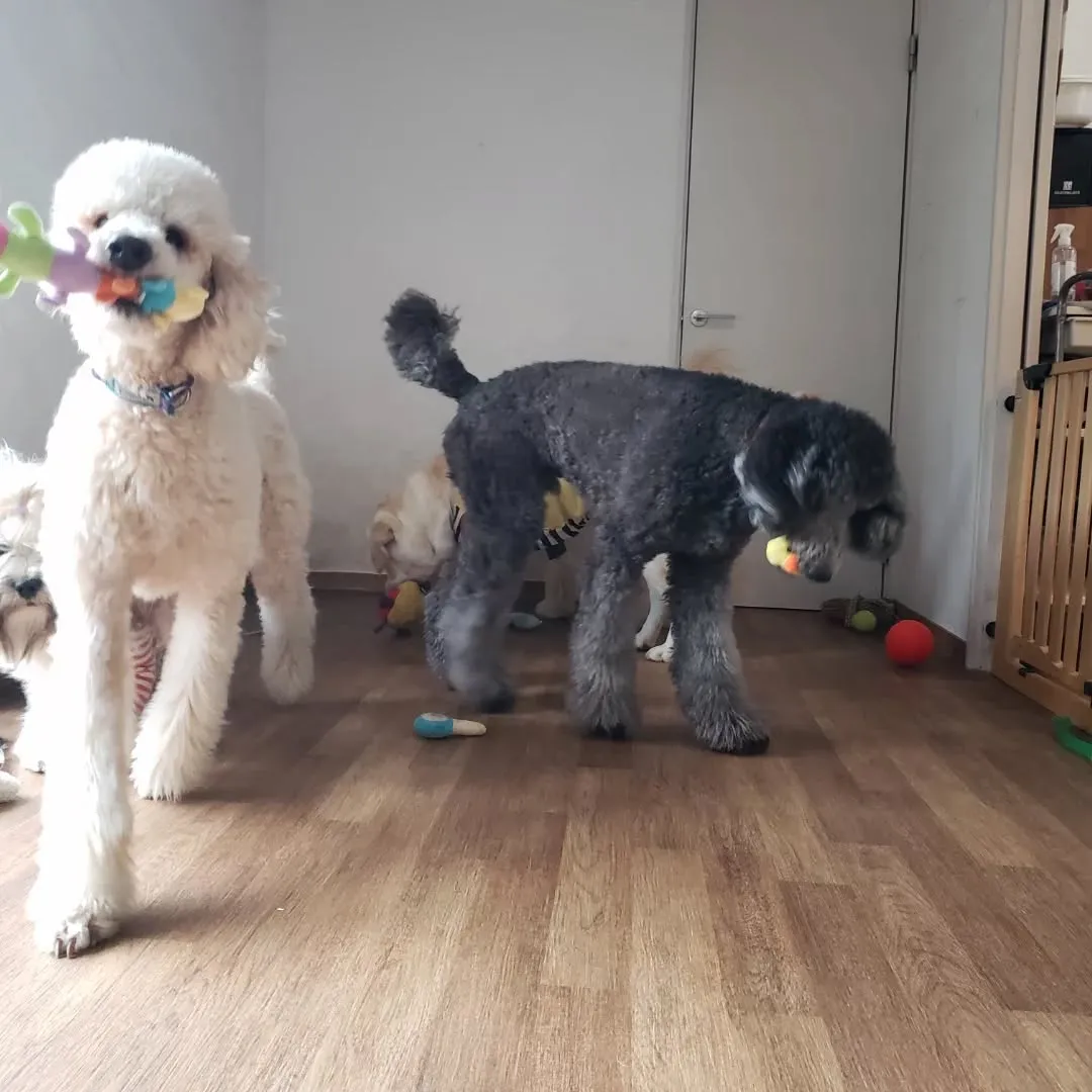 4月になりましたが生憎の☔