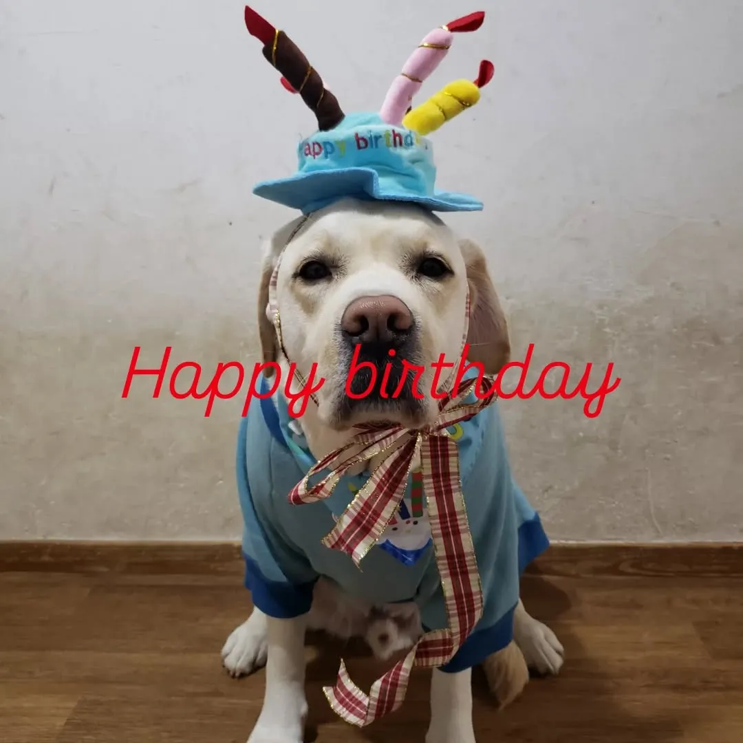 まーちゃんは4歳になりました🎉🎂